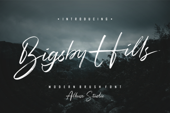 Bigsby Hills: A Handwritten Font with Editorial Charm