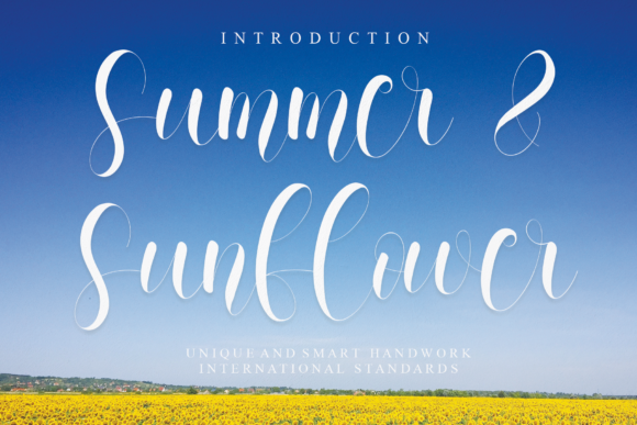 Summer and Sunflower: A Designer’s Review