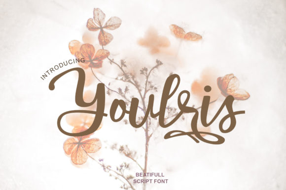 Youlris: A Script Font for Clearer, Stronger Campaign Visuals
